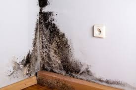 A wall covered in black mould.
